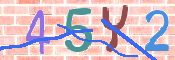 キャプチャ画像