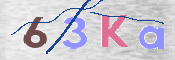 キャプチャ画像